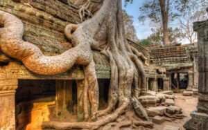Ta Prohm Temple