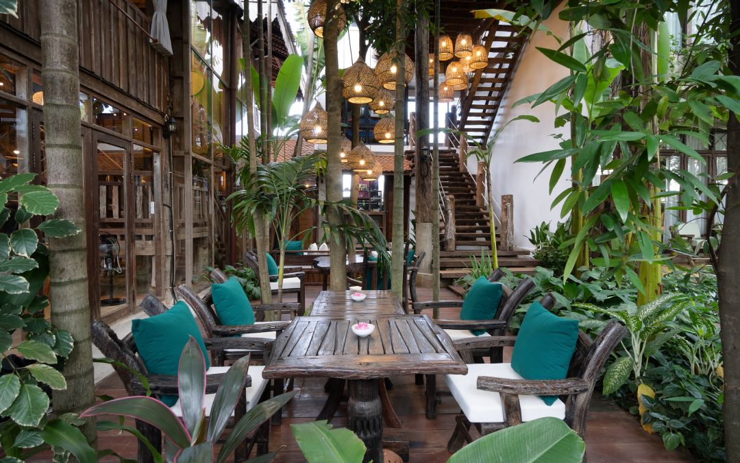 The Nature in Siem Reap Country Rd Wat Chork