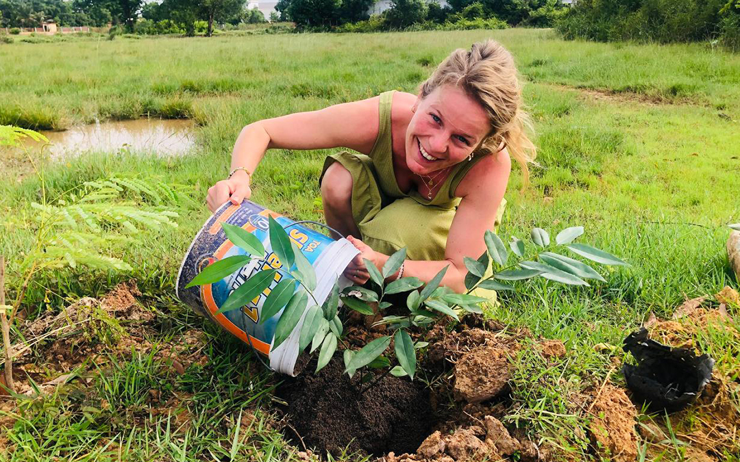 Tree planting