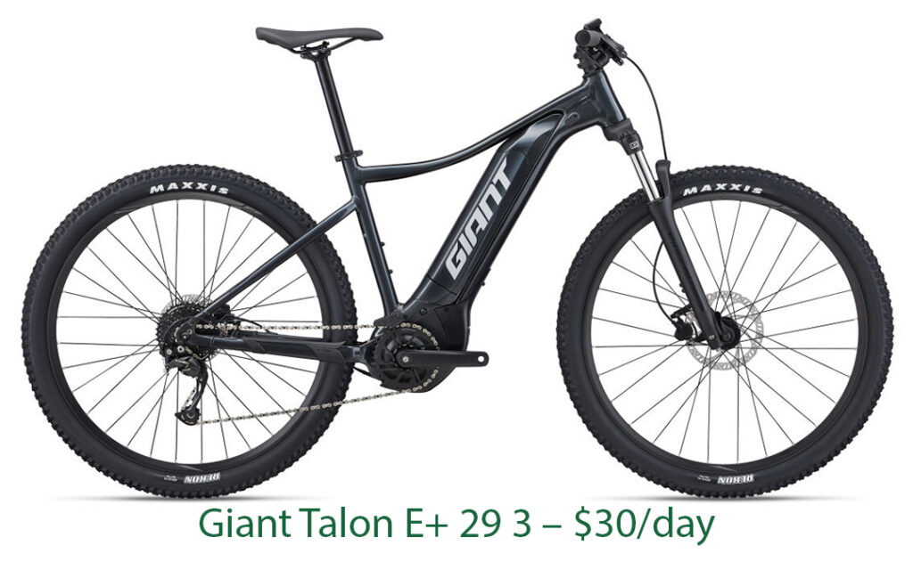 Bike rental
