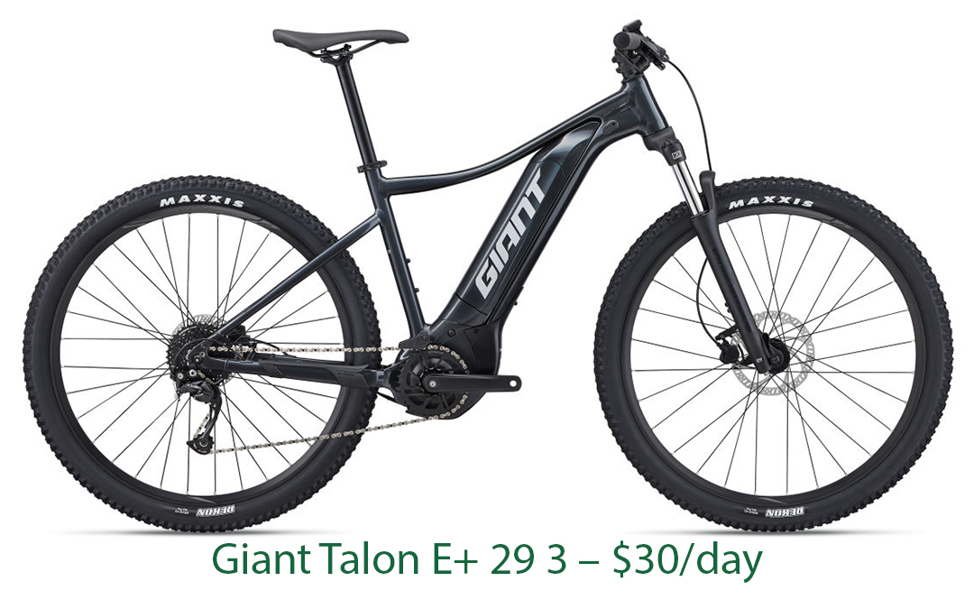 Bike rental