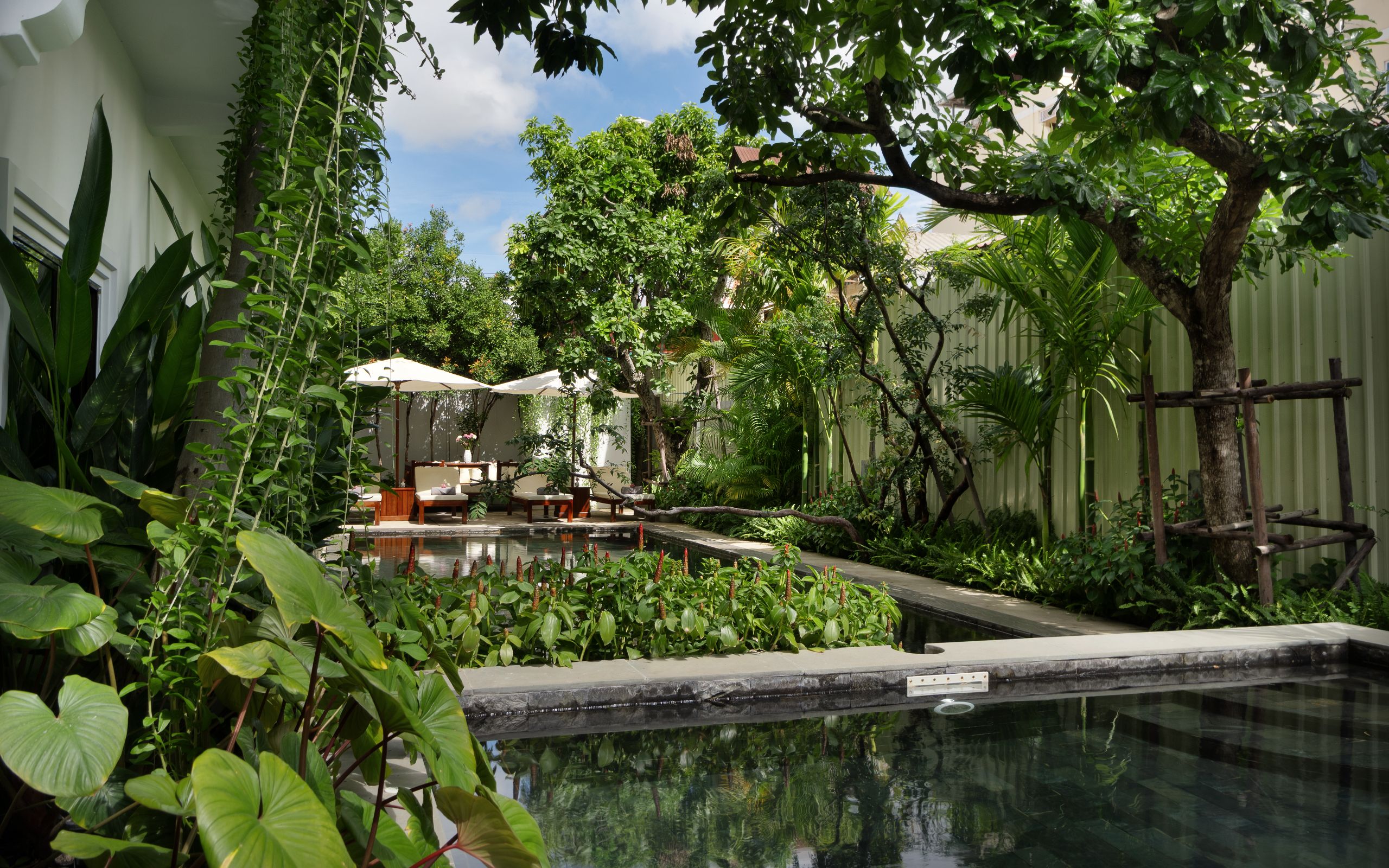 The Tree Pool