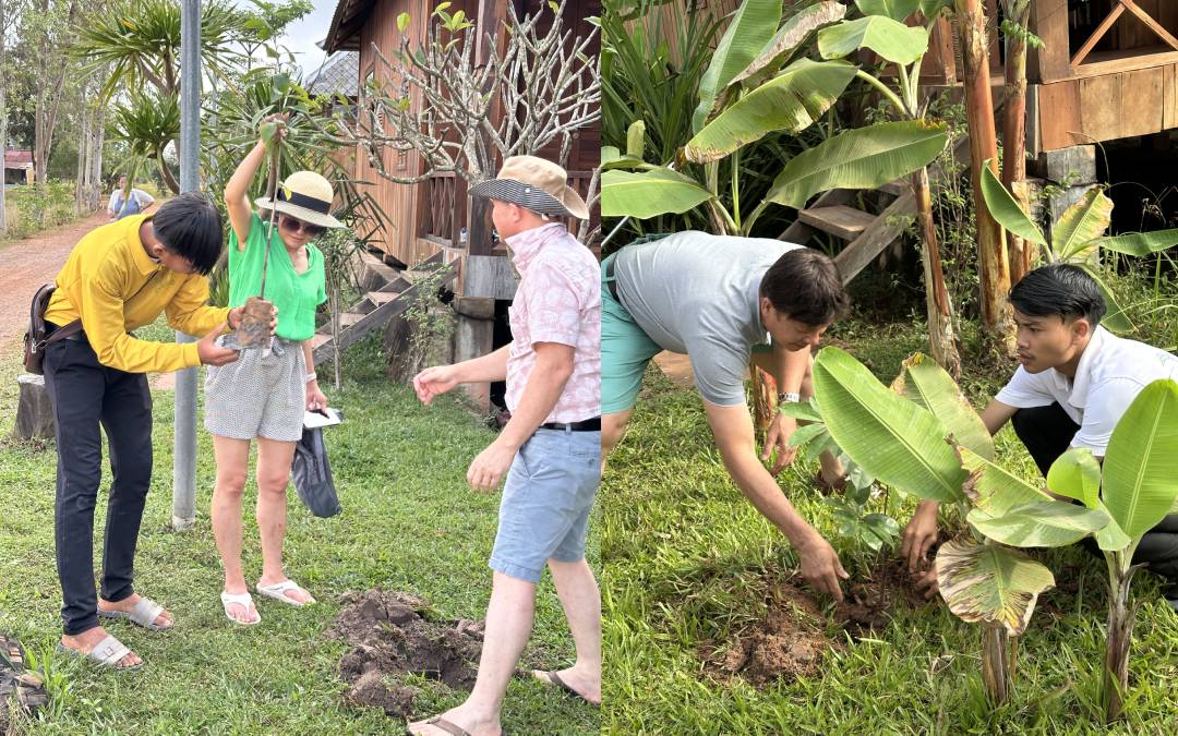 Tree planting kampot