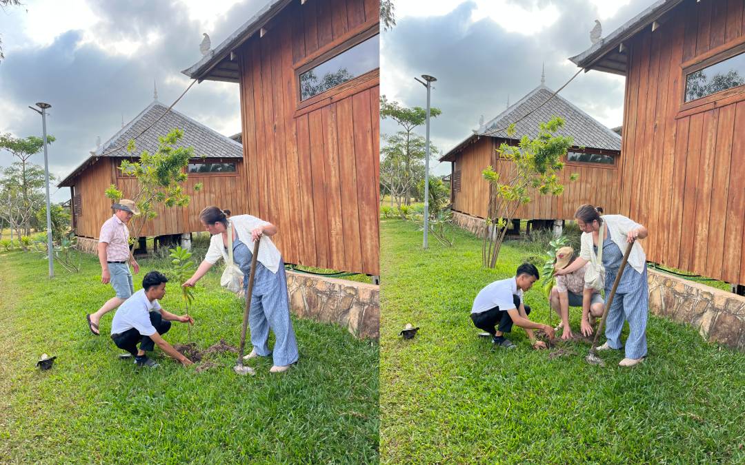 Tree planting kampot