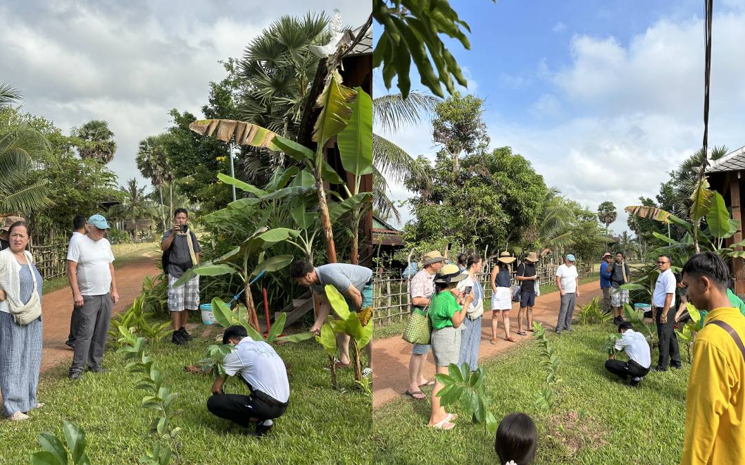 Tree planting kampot