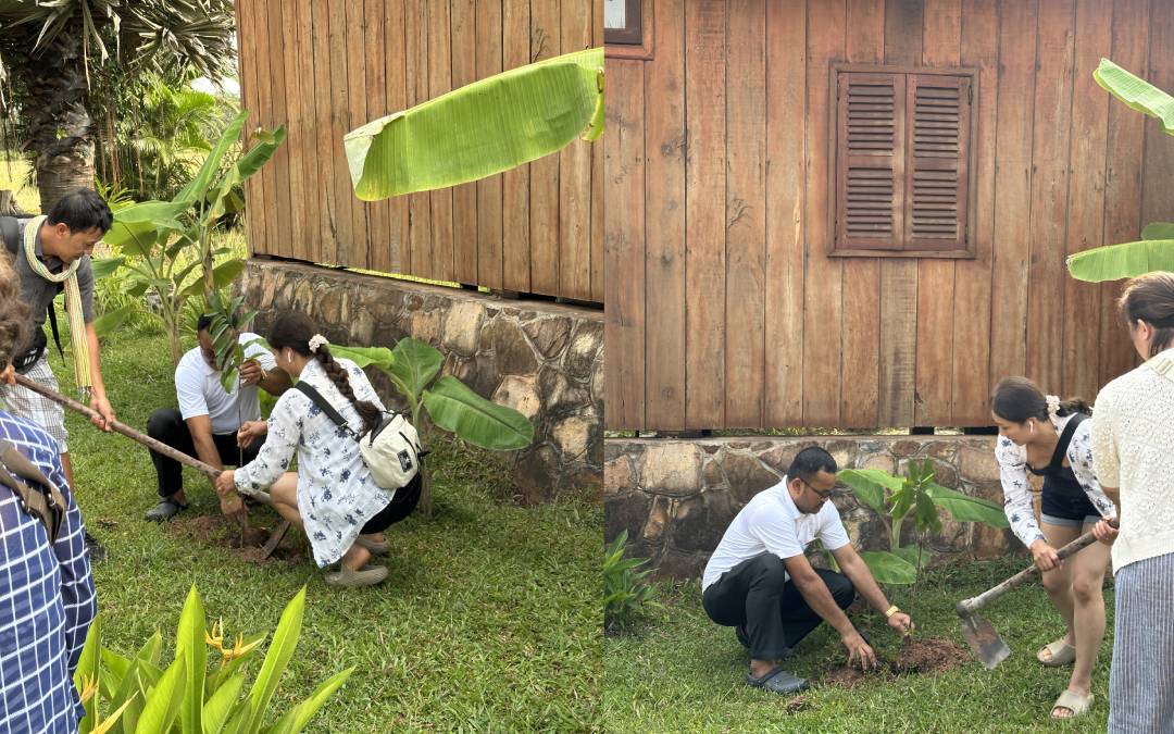 planting kampot