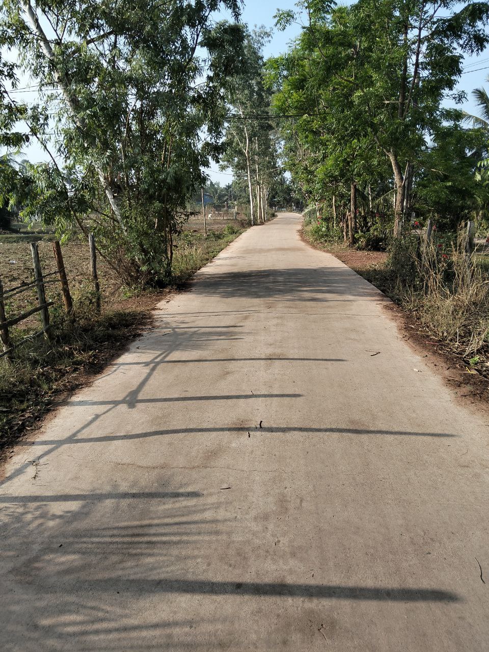 Community Care: Keeping Sre Lodge Beautiful - Staynature Group