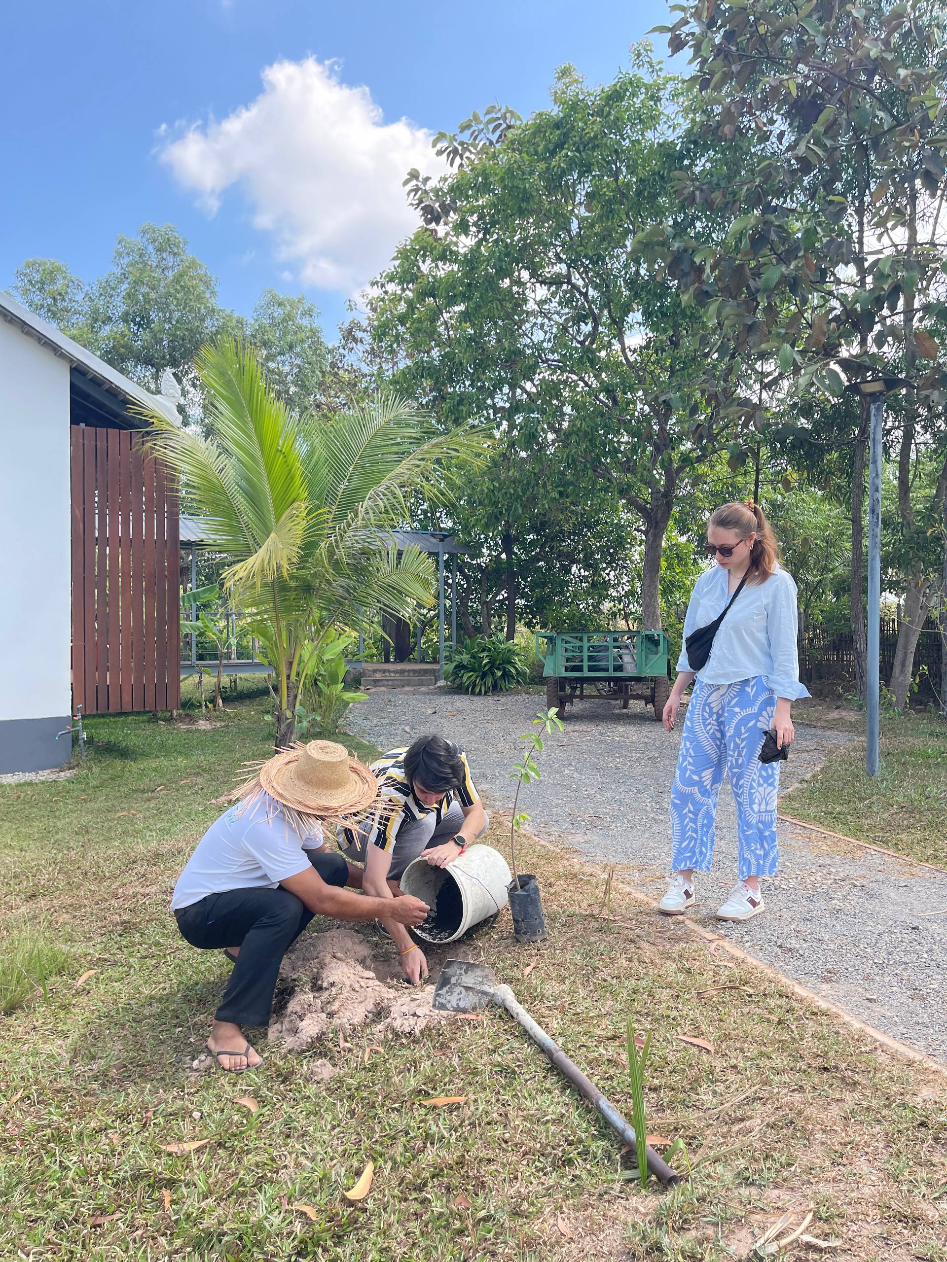 Tree Planting At Boat House