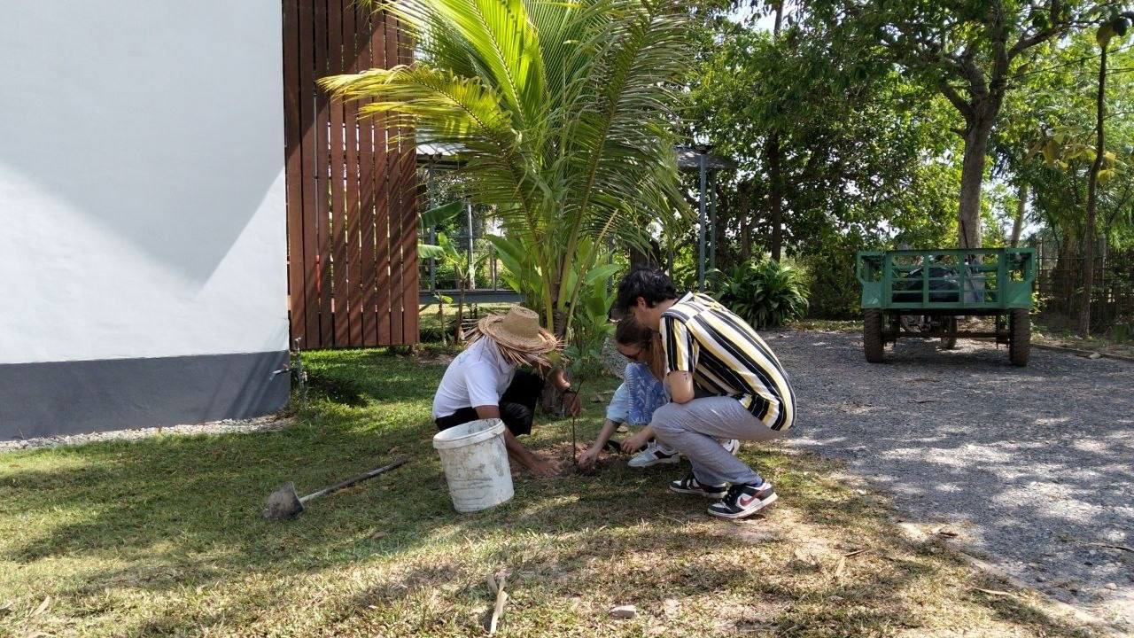Tree Planting At Boat House