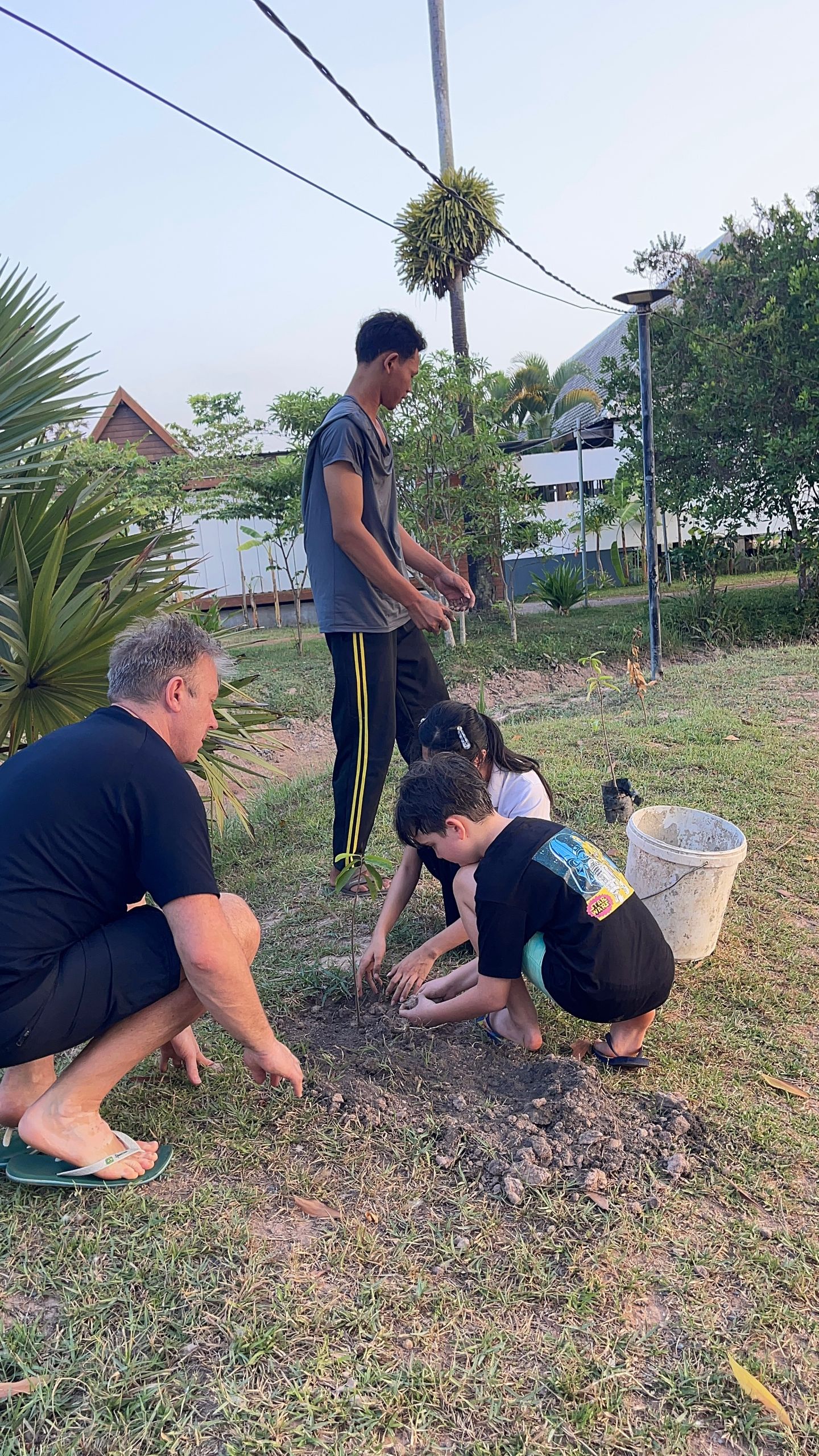 Tree ​Planting At Bungalow2