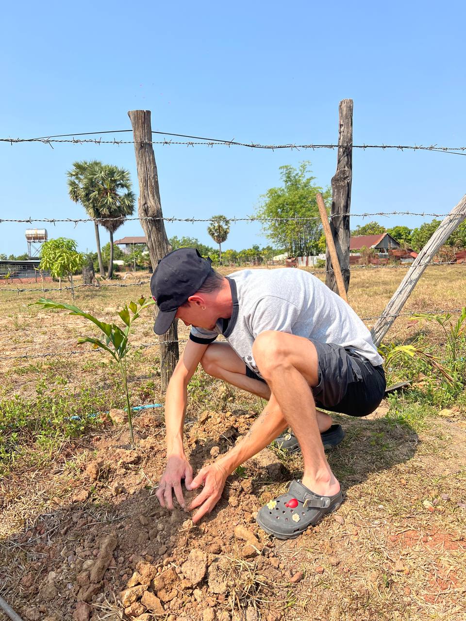 Tree planting