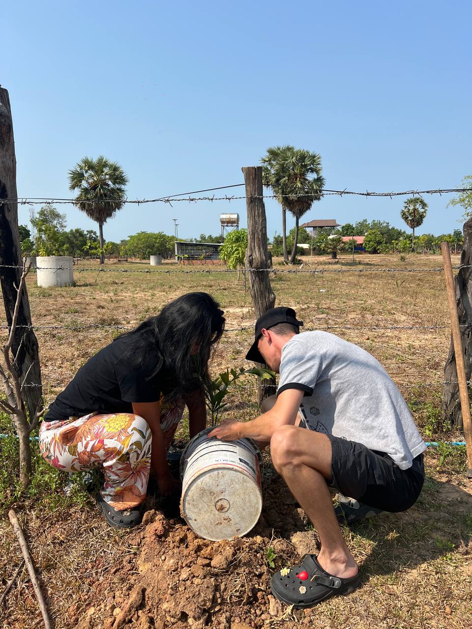Tree planting