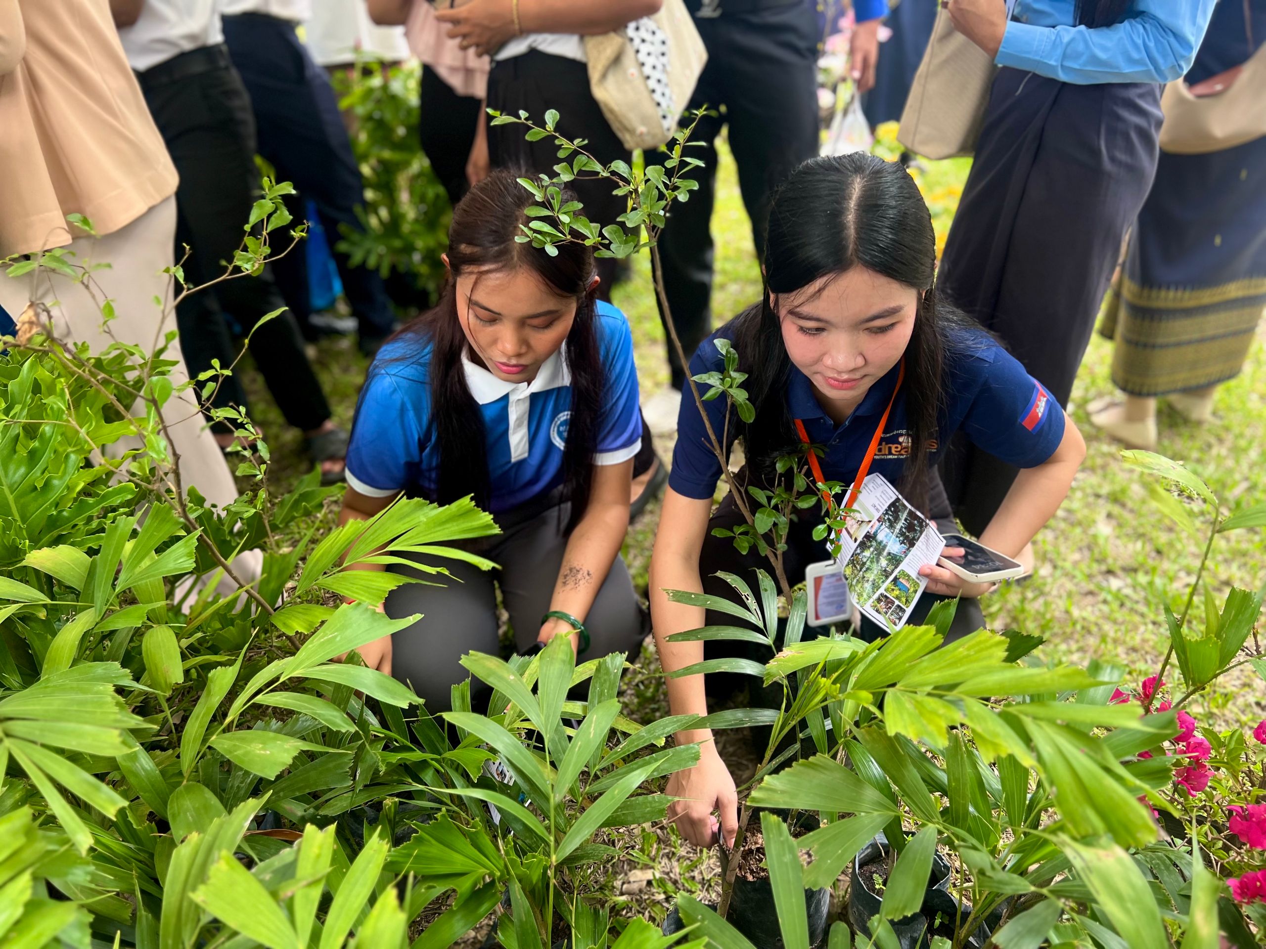 Stay Nature in Pepy skill fair and tree offering