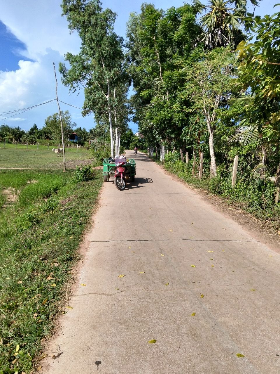 Community Clean Up Activity - Kampot