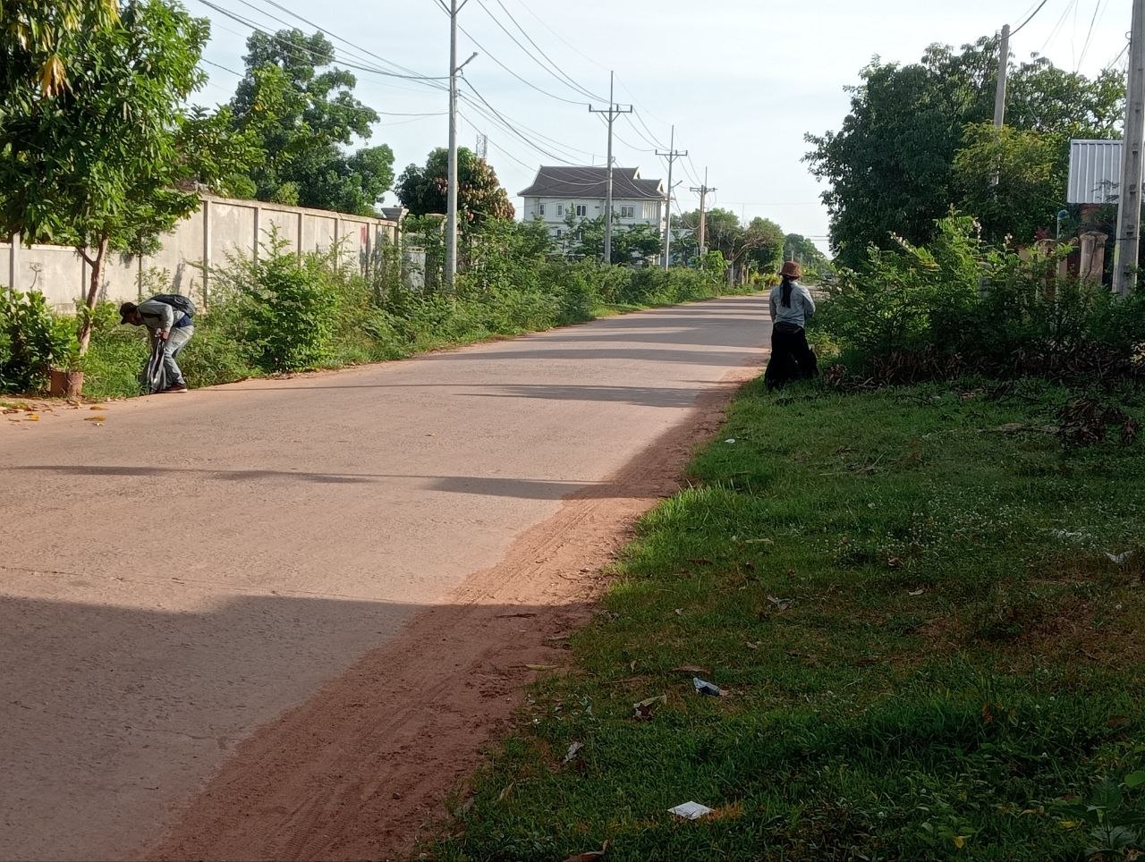 Stay Nature Cleaning activity