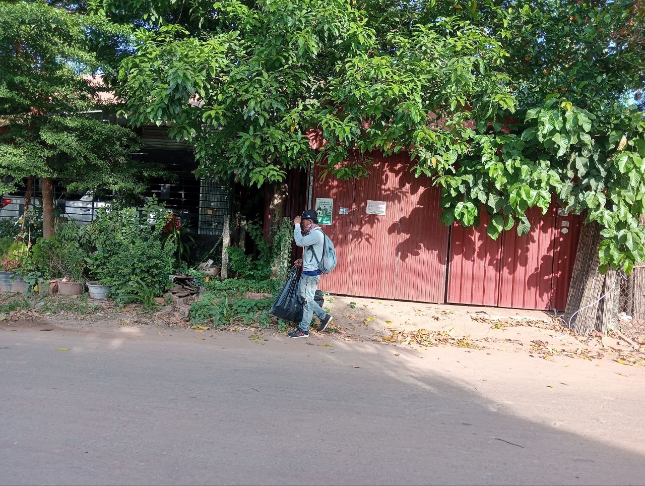 Stay Nature Cleaning activity