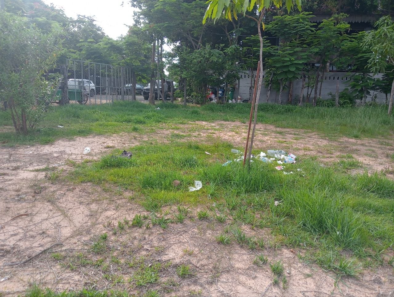 StayNature Cleaning Activity