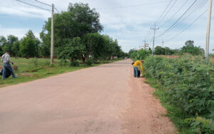 StayNature Cleaning Activity