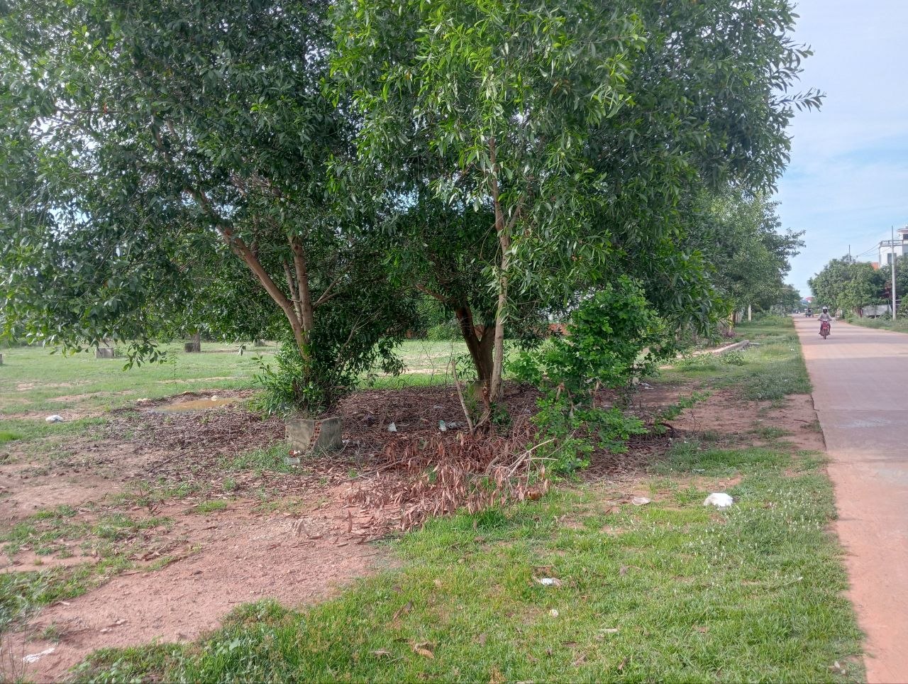 StayNature Cleaning Activity