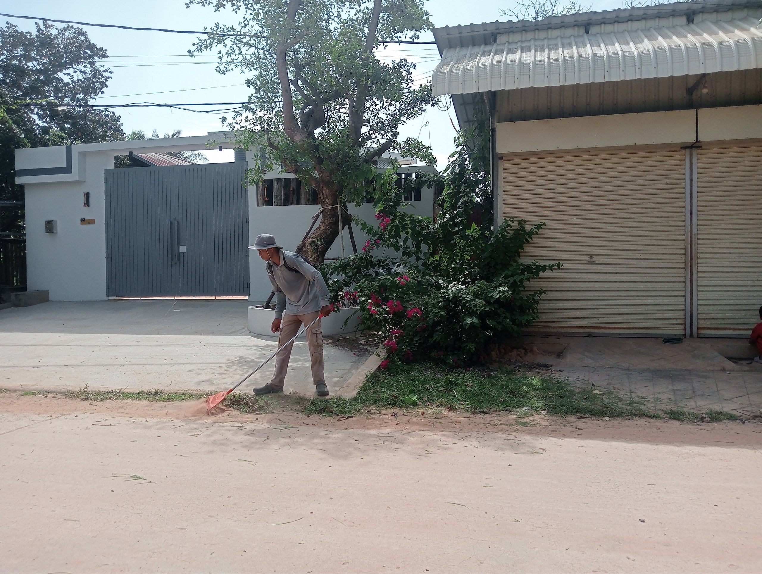 Stay Nature Cleaning activity