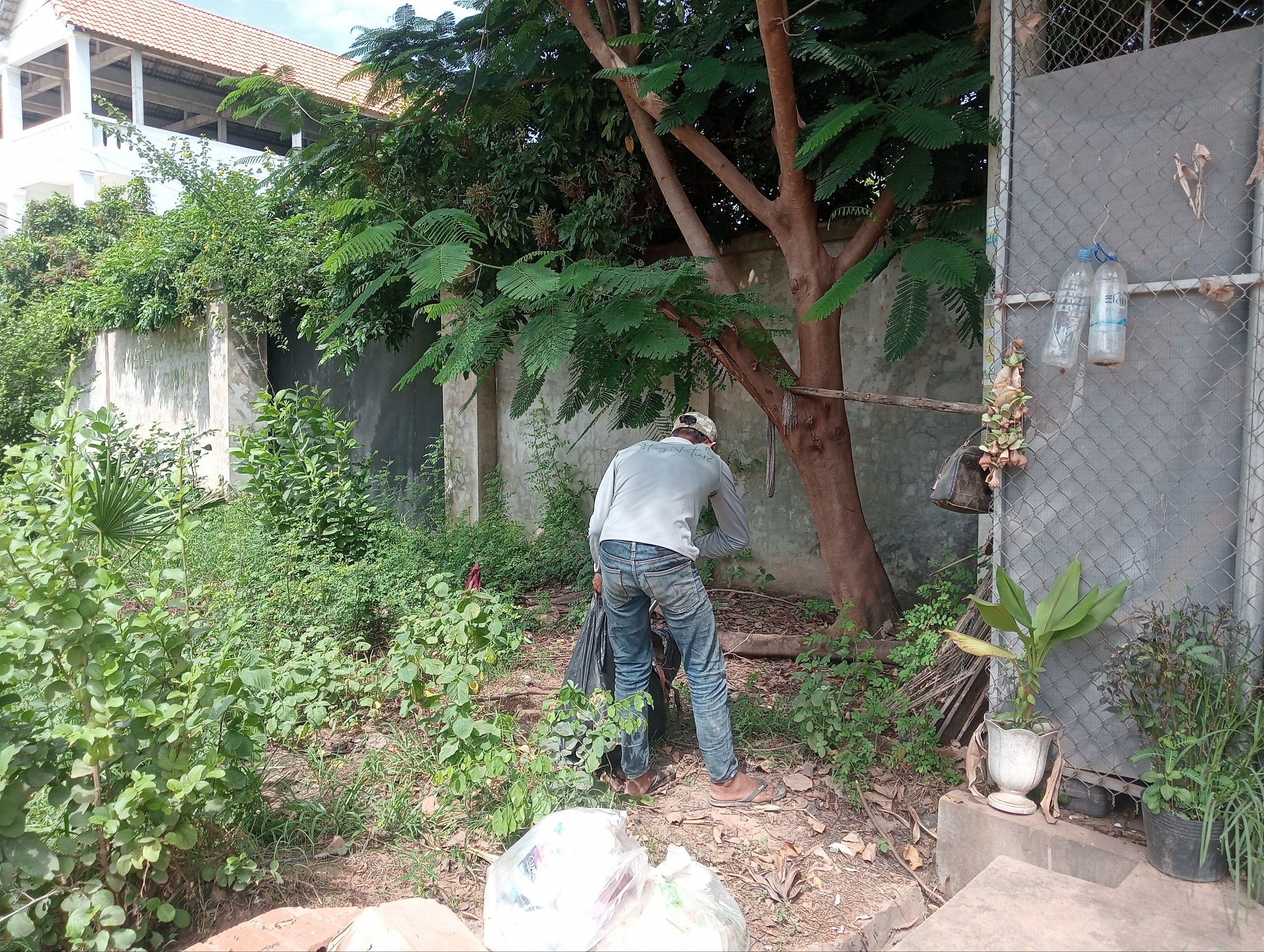Stay Nature Cleaning activity