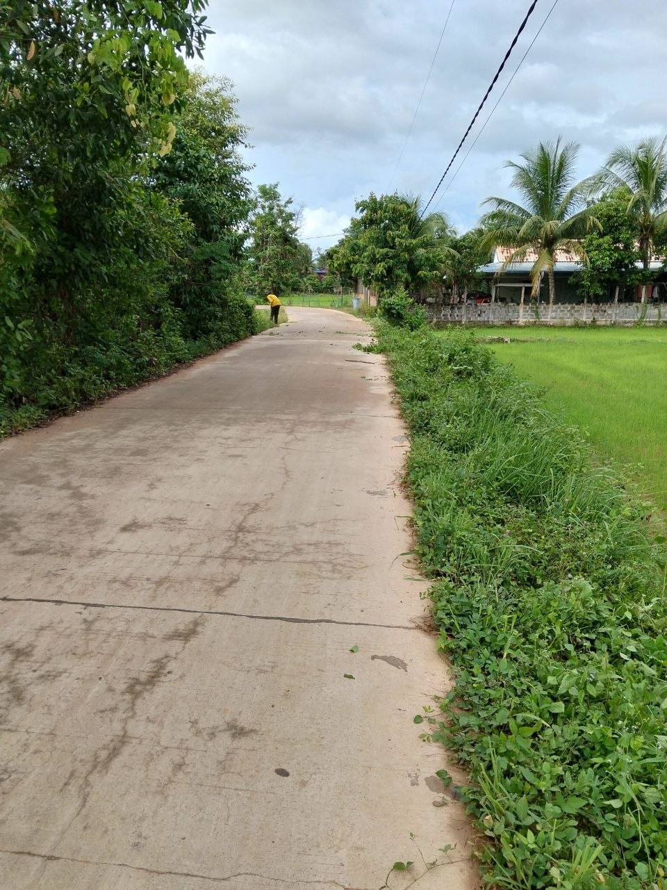 Stay Nature cleaning activity at kampot