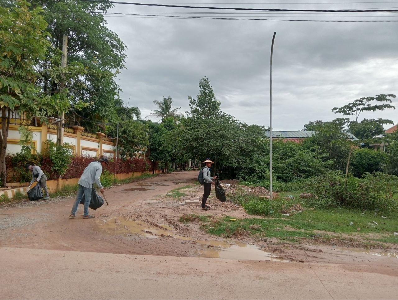 Stay Nature Cleaning activity