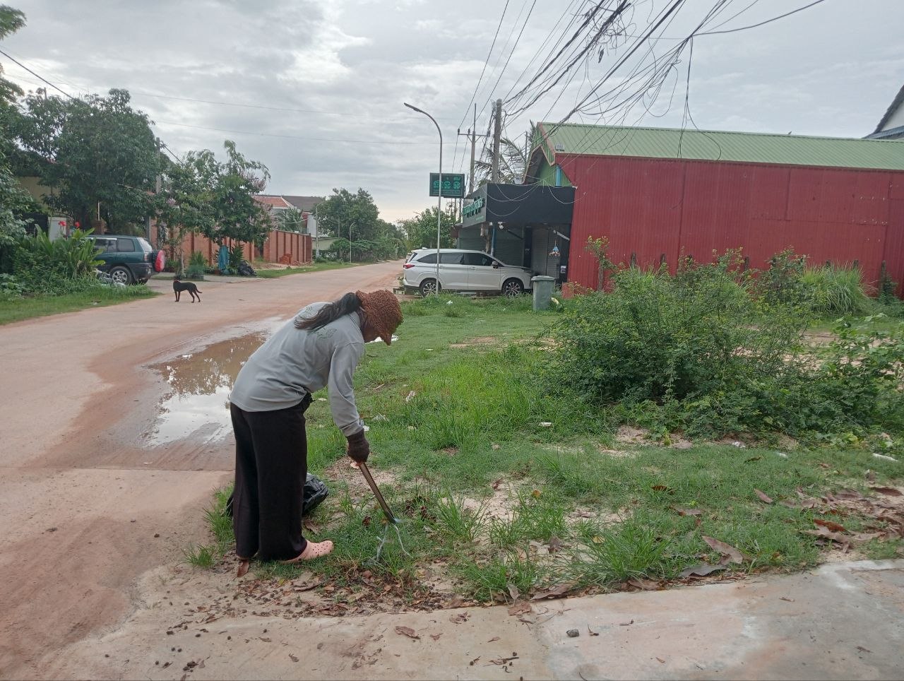 Stay Nature Cleaning activity