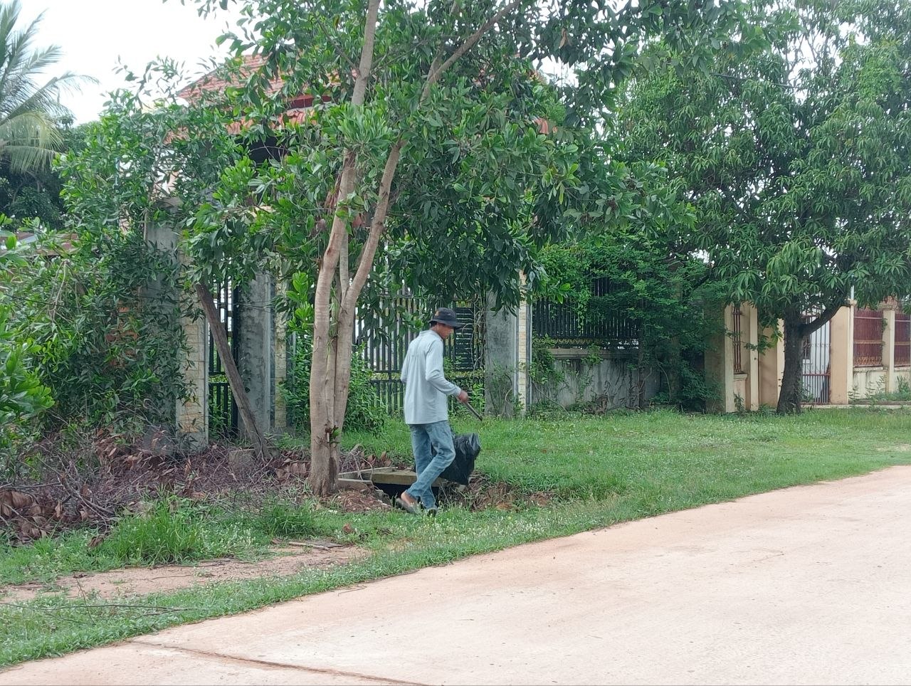 Stay Nature Cleaning activity