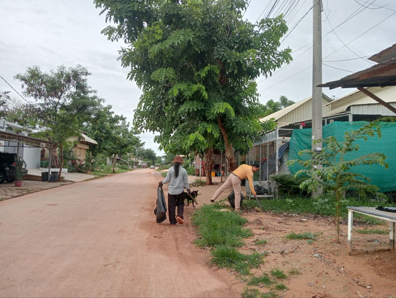Stay Nature Cleaning activity