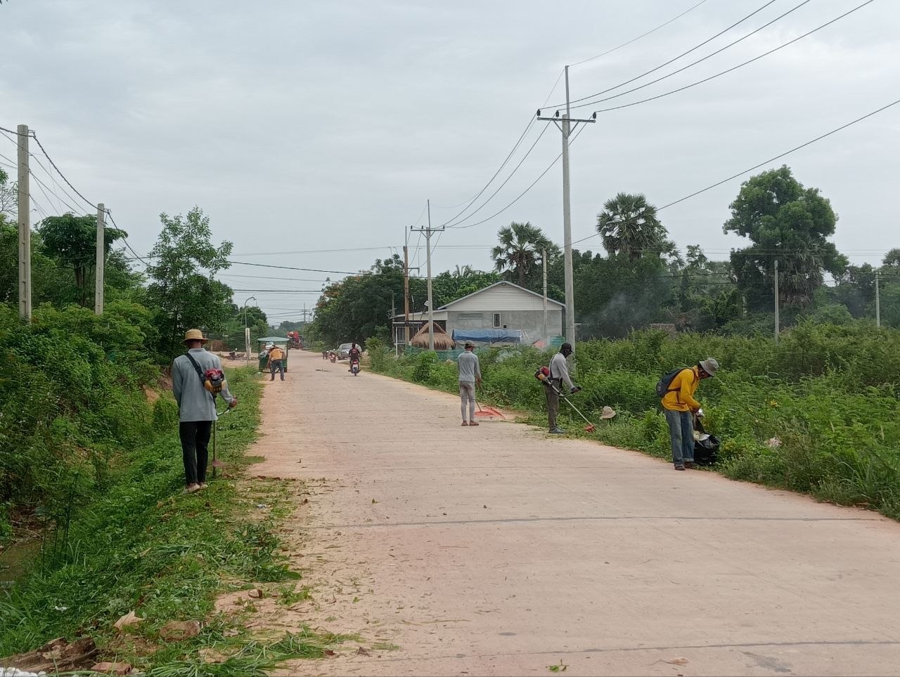 Stay Nature Cleaning activity