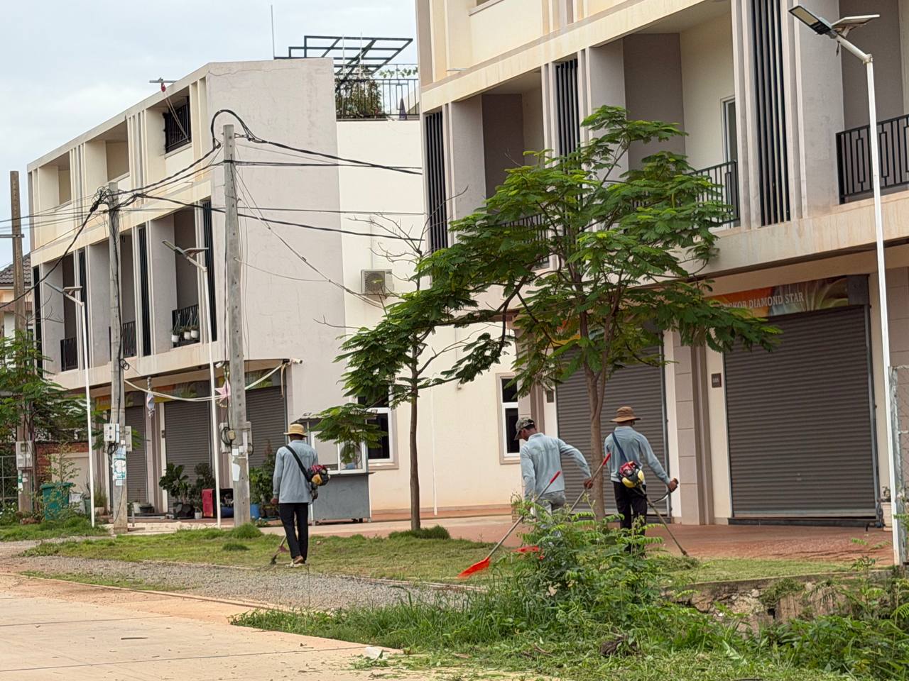 Stay Nature Cleaning activity