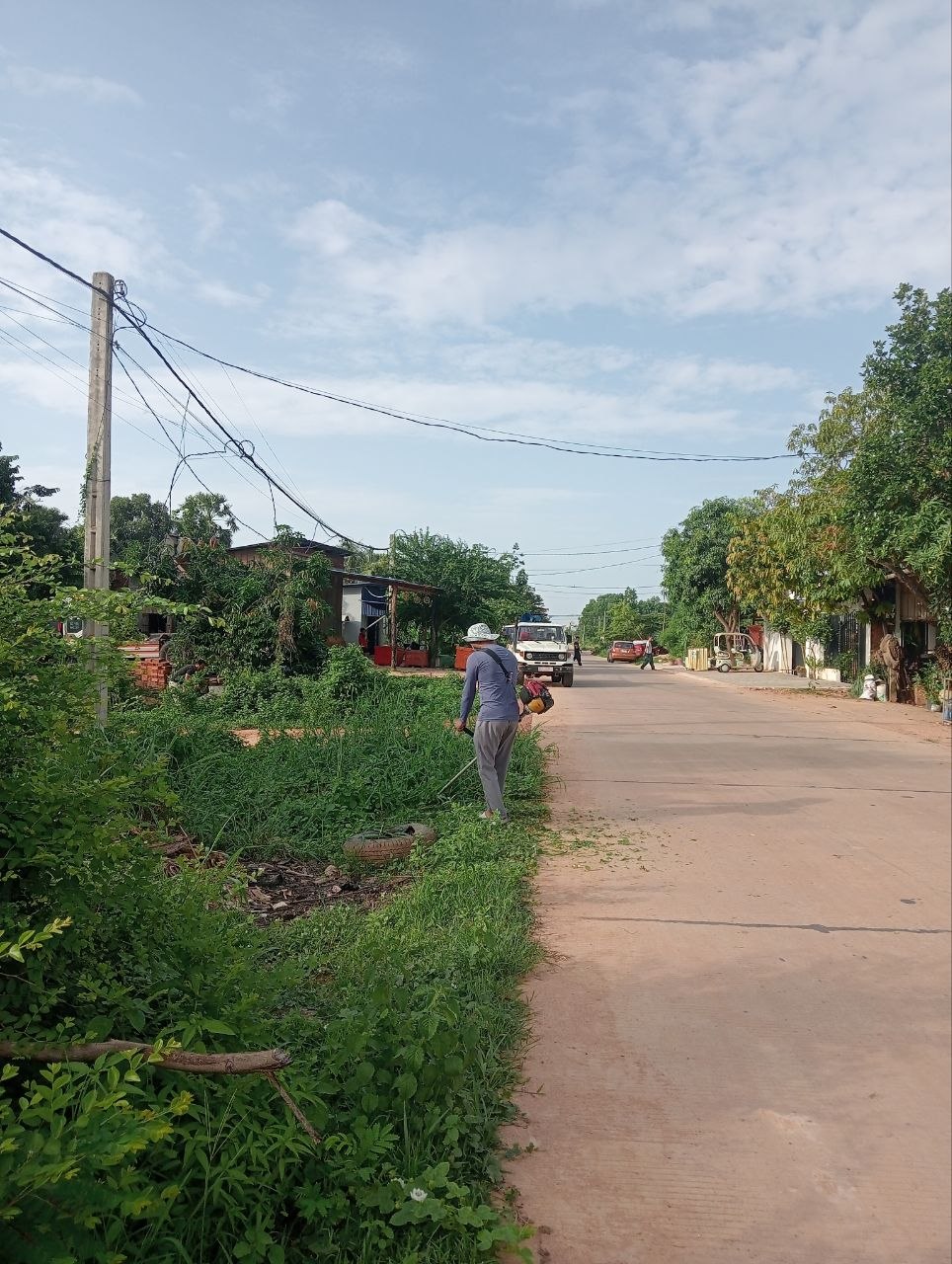 Stay Nature Cleaning activity