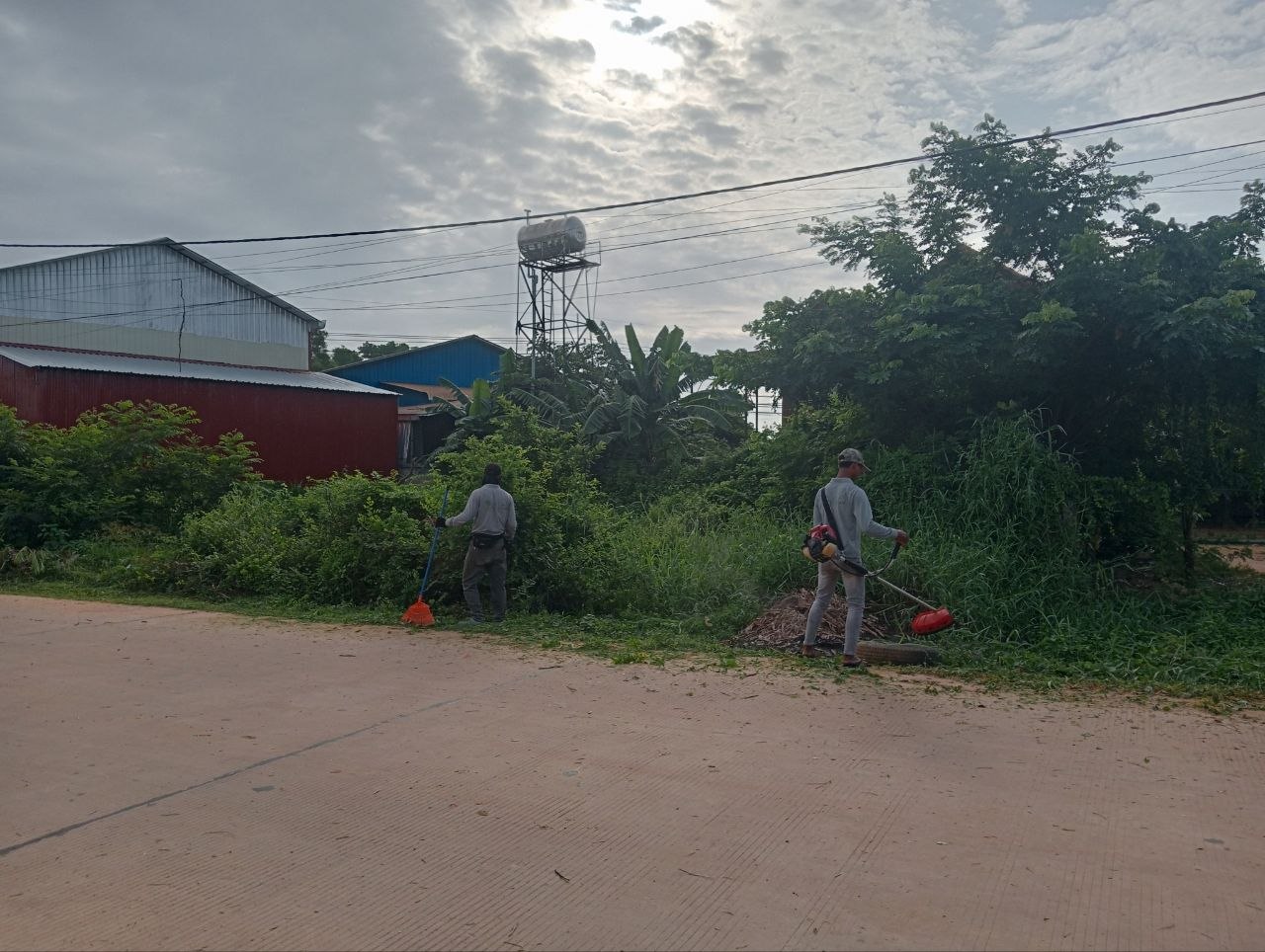 Stay Nature Cleaning activity