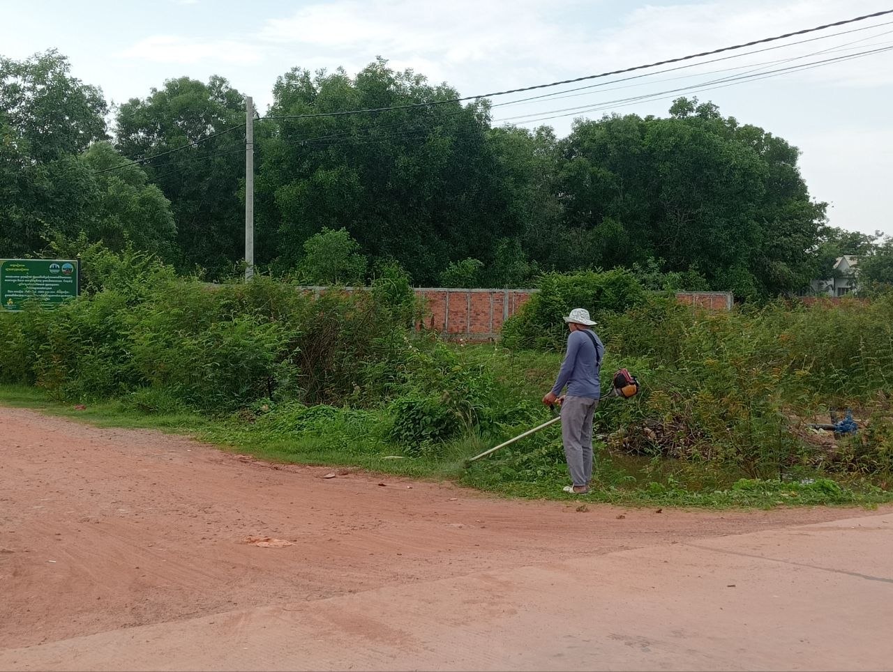 Stay Nature Cleaning activity