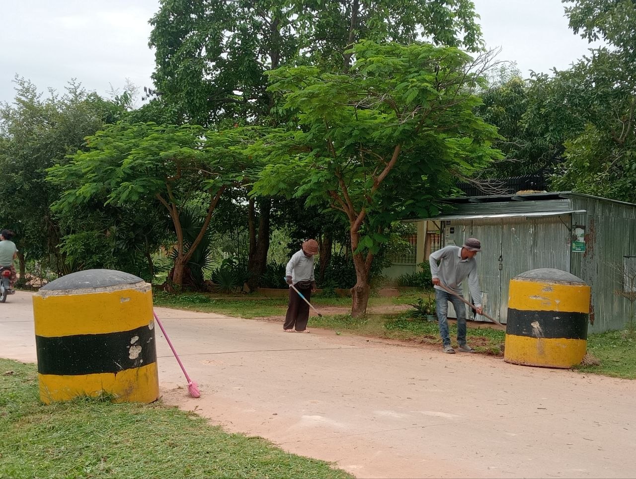 Stay Nature Cleaning activity
