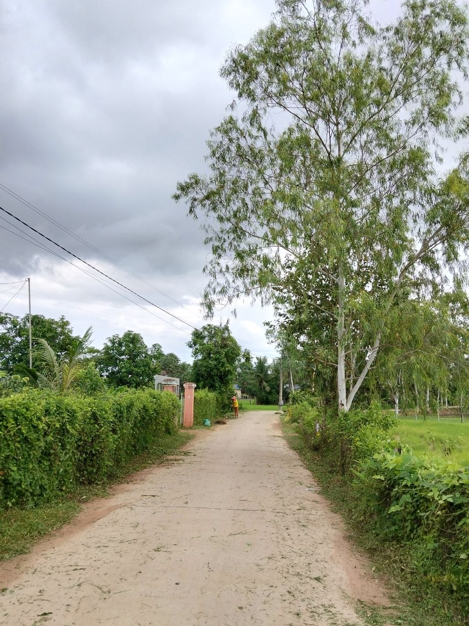 Kampot Cleaning activity