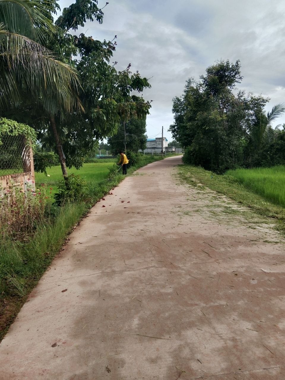 Kampot Clean up activity