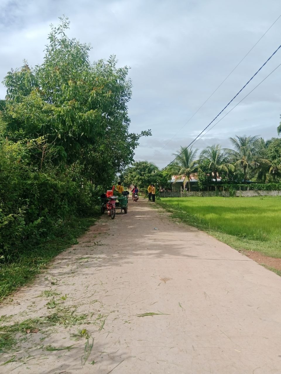 Kampot Clean up activity