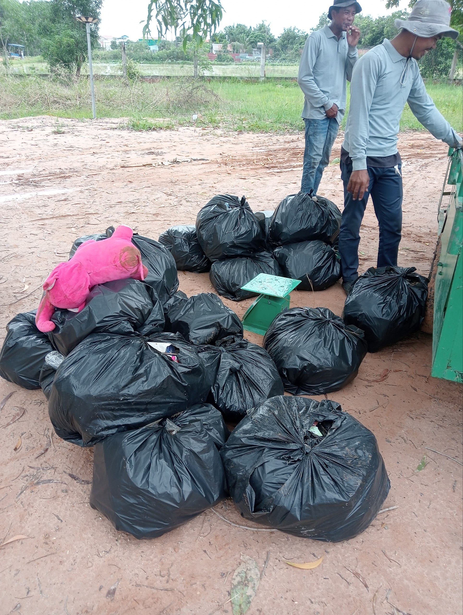 Stay Nature Cleaning Activity