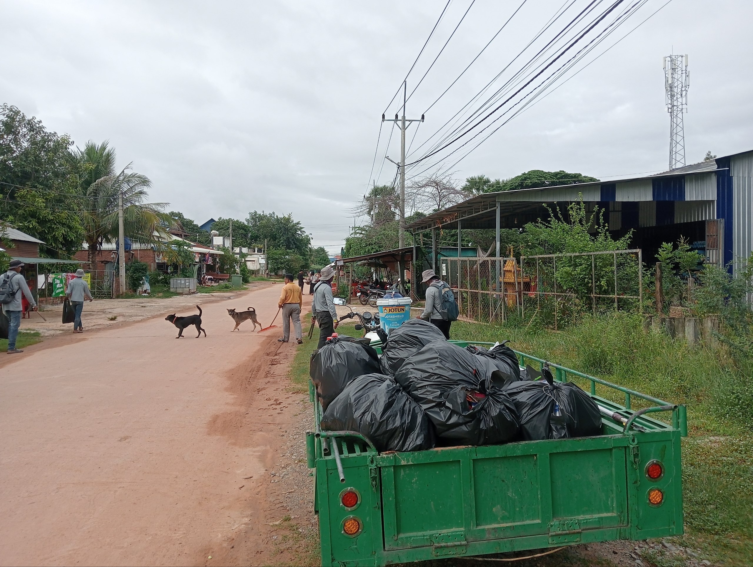 Stay Nature Cleaning Activity