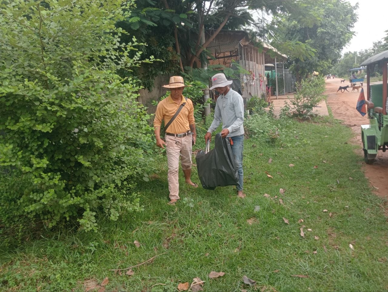 Cleaning Activity