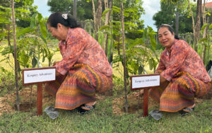 Kouprey Adventures Tree planting
