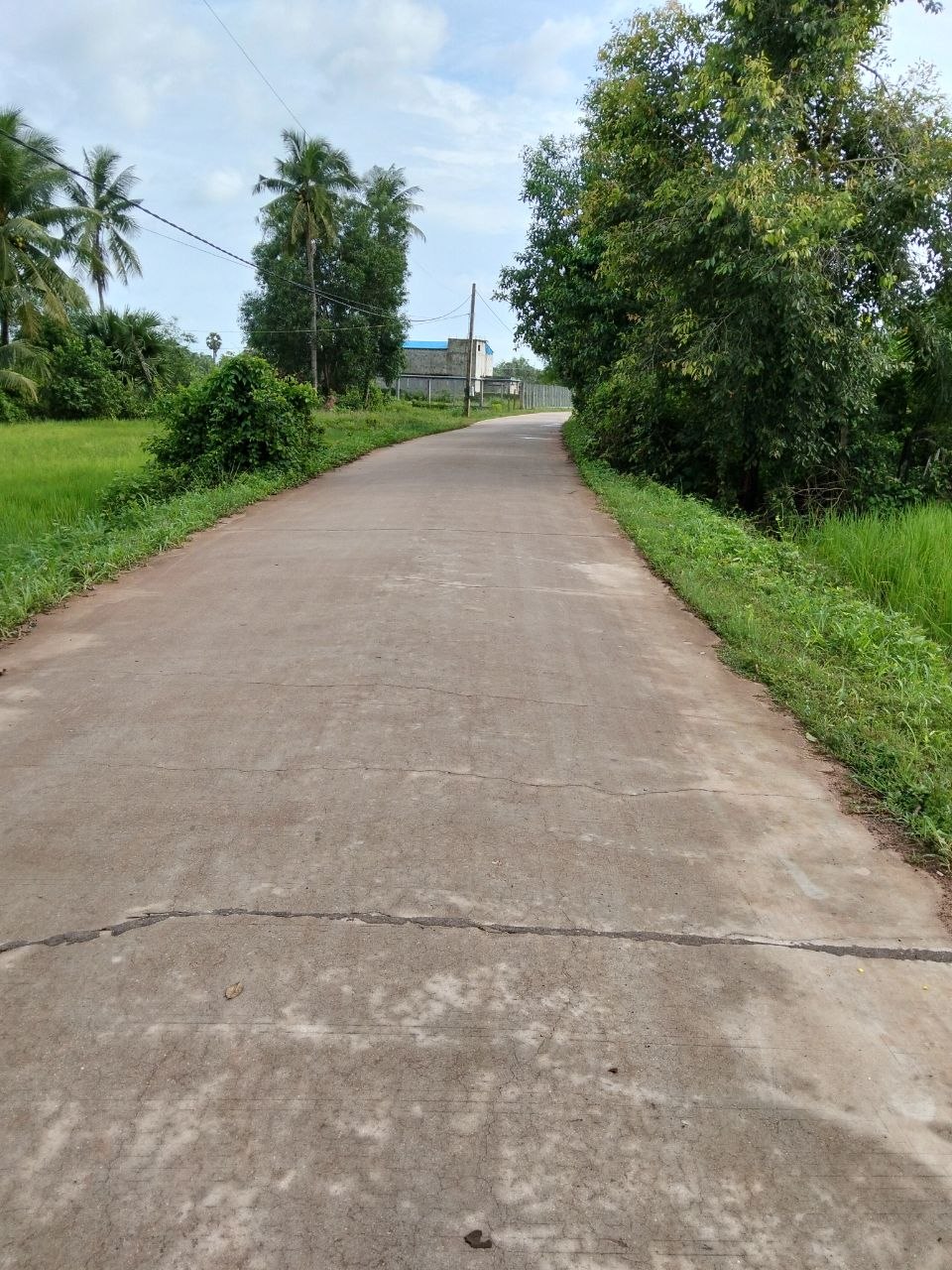 Stay Nature Kampot Cleaning Activity