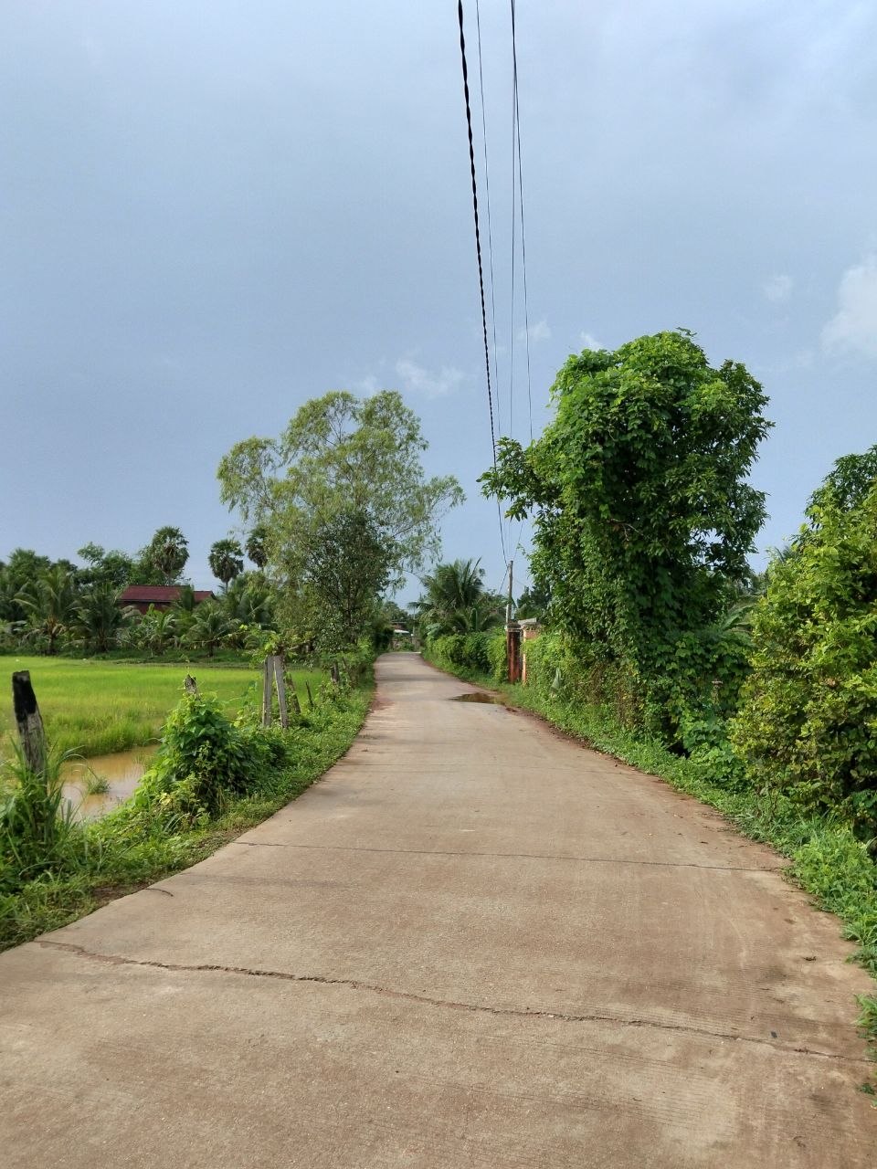 Stay Nature Kampot Cleaning Activity