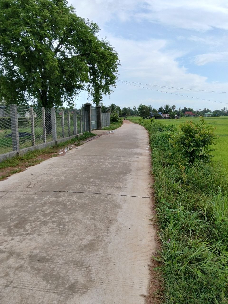 Stay Nature Kampot Cleaning Activity