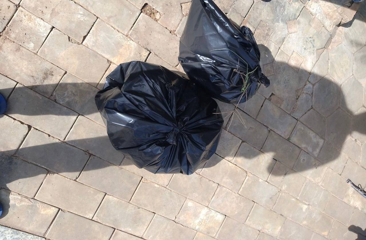 Stay Nature Cleaning Activity