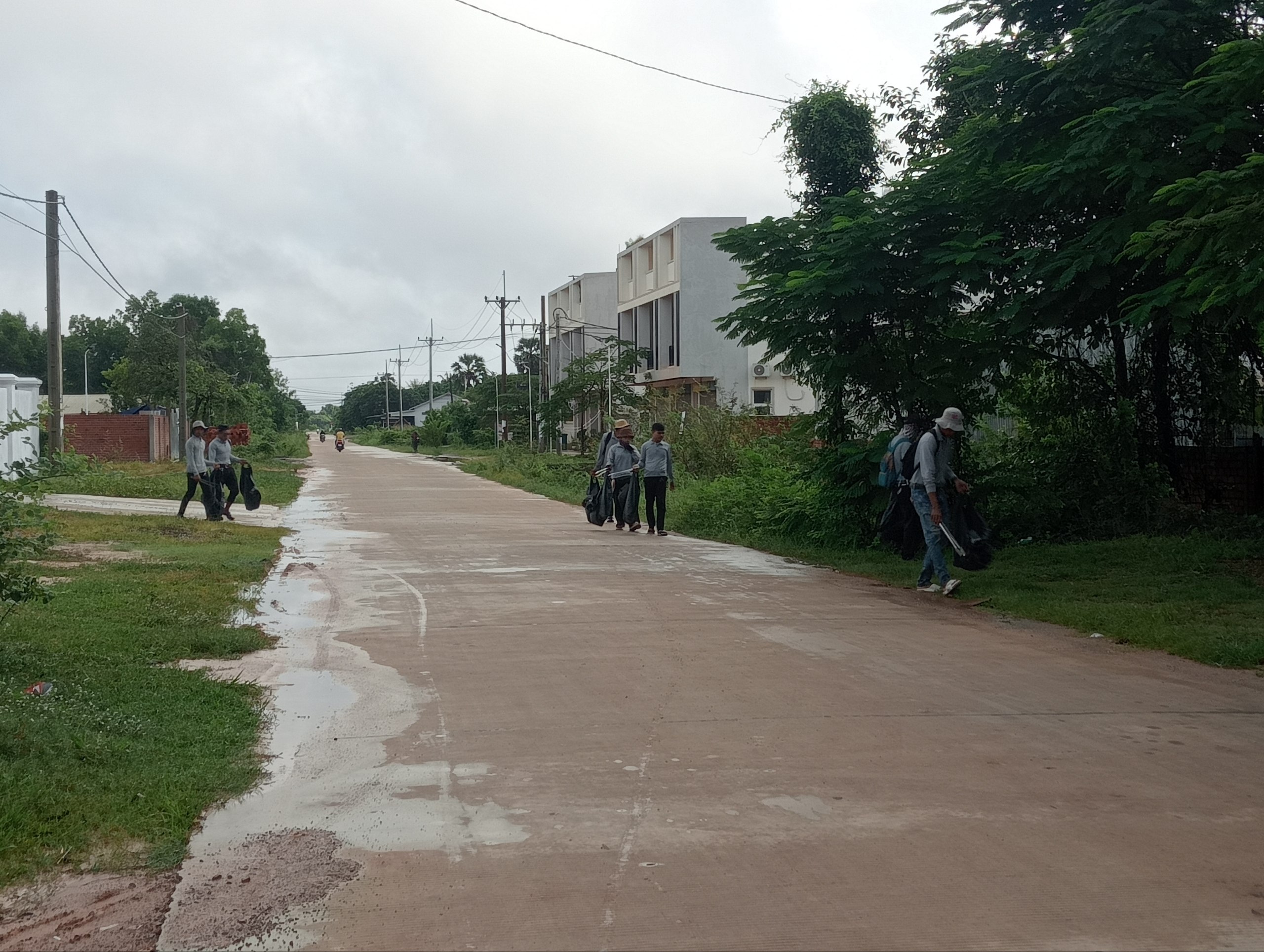 Stay Nature, Street garbage collection and clean up activities