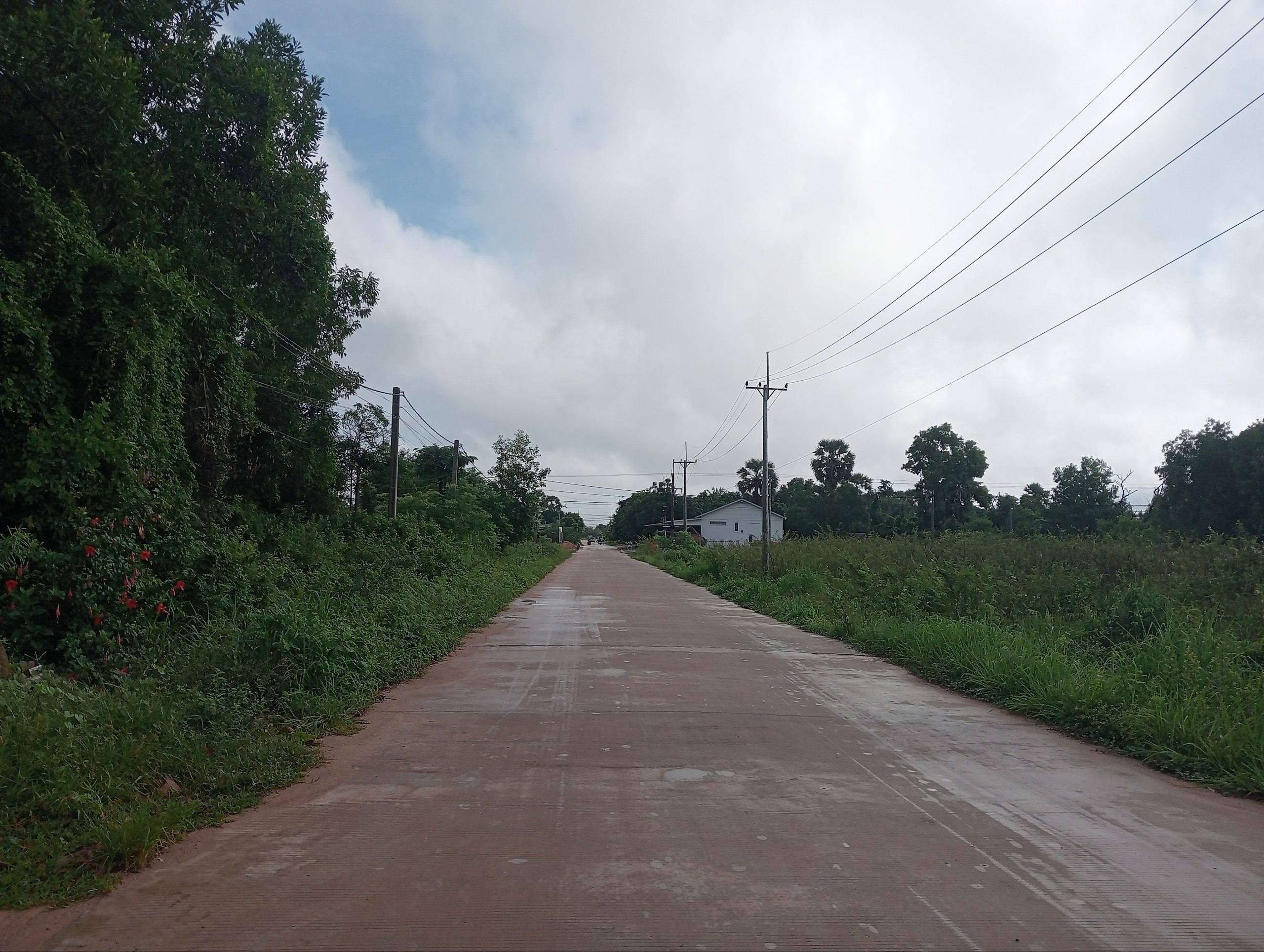 Stay Nature, Street garbage collection and clean up activities