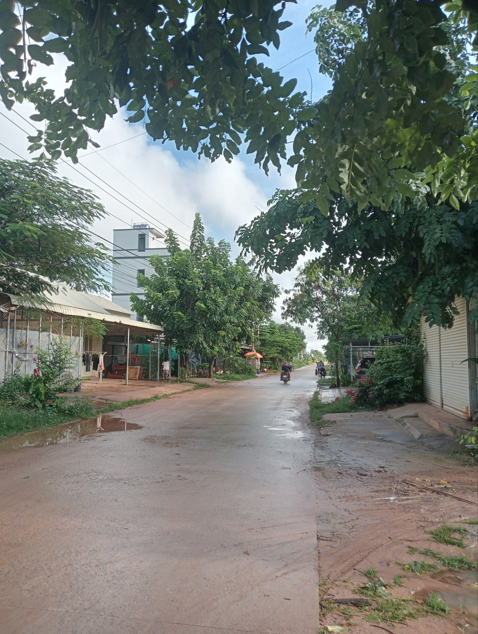 Stay Nature, Street garbage collection and clean up activities